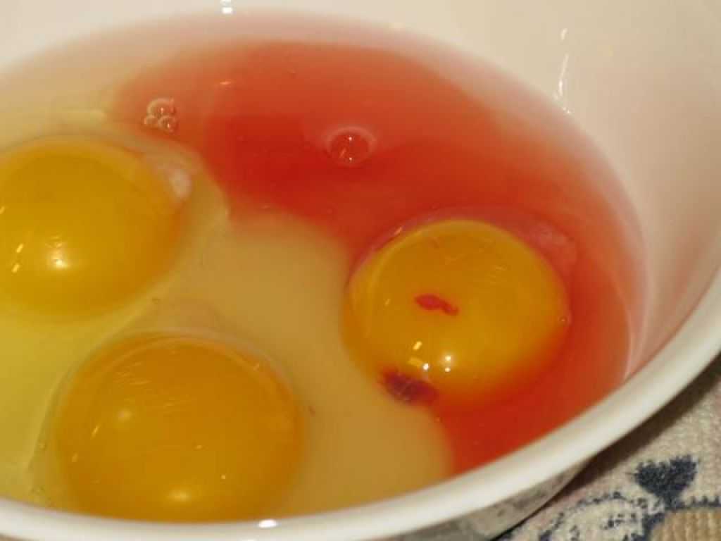 Кровь в яйце курином: почему бывает на желтке и можно ли есть
