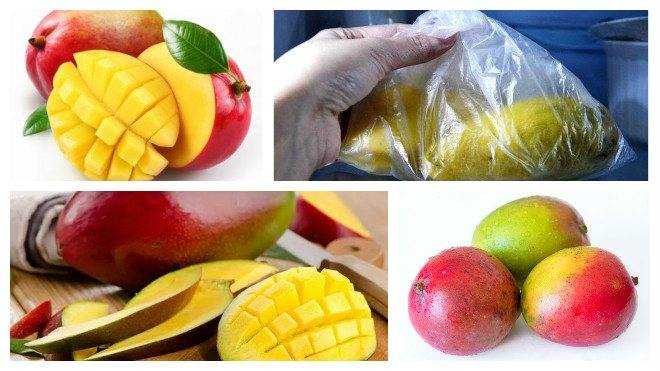 Как хранить манго в домашних условиях, в холодильники чтобы оно дозрело и не испортилось
