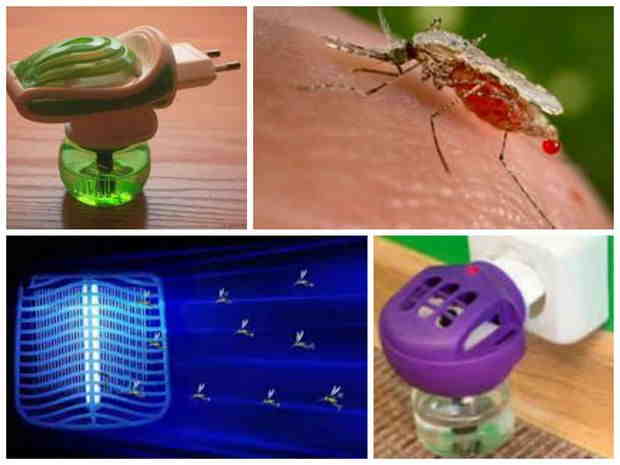 15 способов защиты от комаров народными средствами