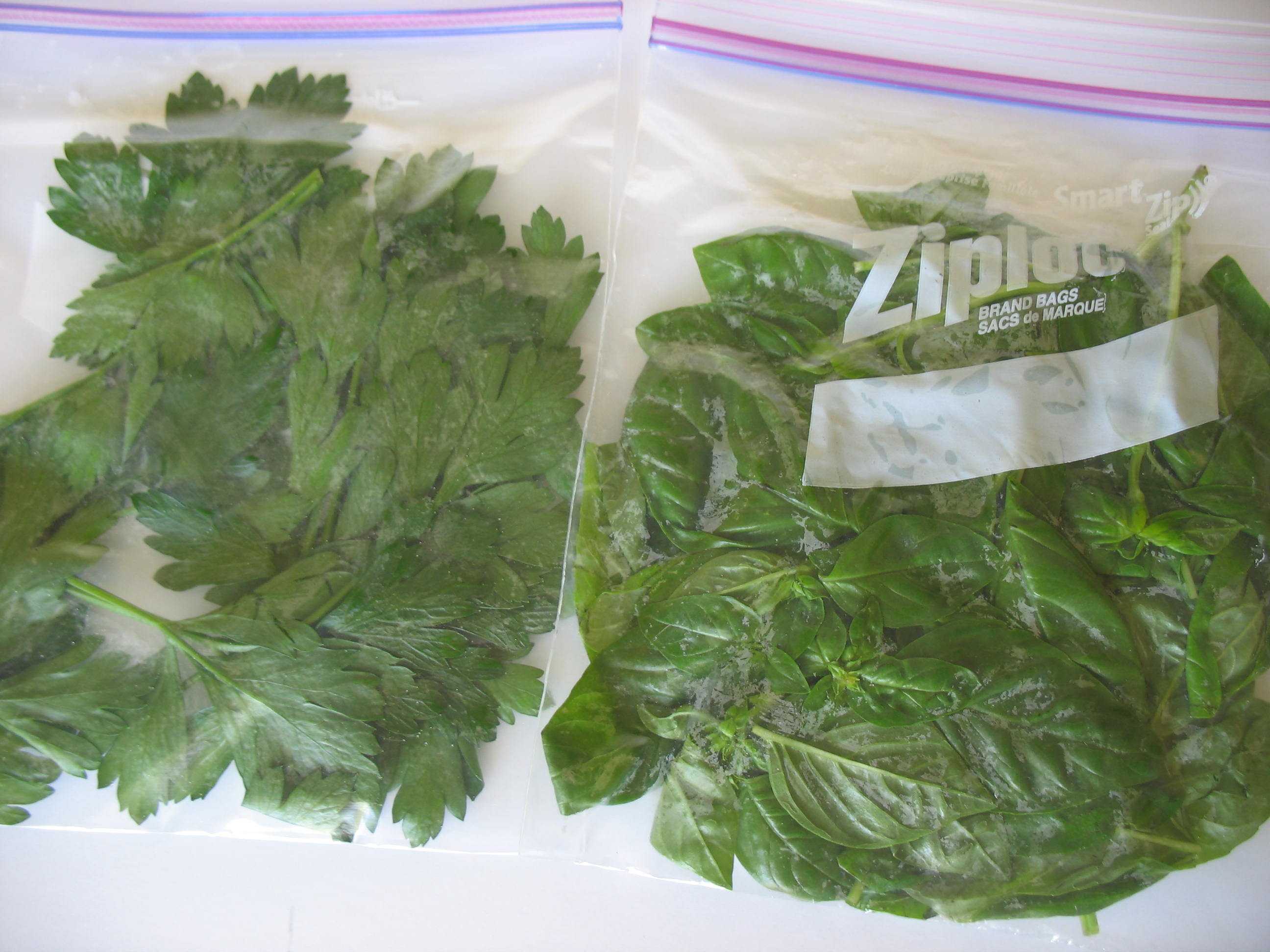 Вот как можно замораживать листья салата в морозилке - проверено