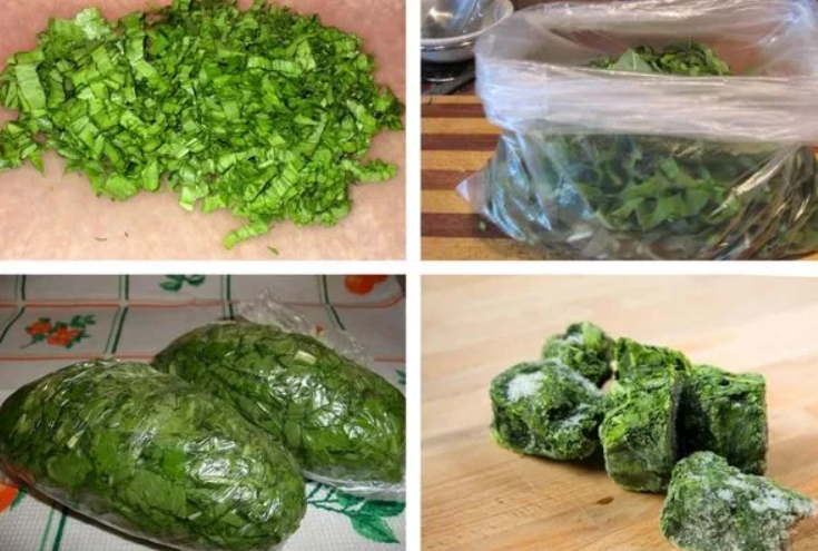 Как хранить листья салата в холодильнике свежими долго – советы