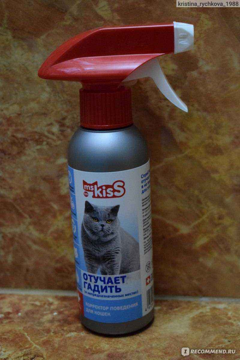 Какие запахи не любят кошки? | блог ветклиники "беланта"
