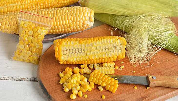 Как сохранить кукурузу в початках на зиму в домашних условиях, чтобы она не испортилась