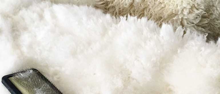 Как очистить овчину белого цвета: стирка овечьей шкуры в условиях дома