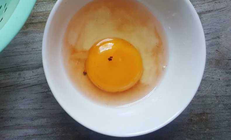 Почему в куриных яйцах бывает кровь внутри и снаружи на скорлупе: причины, лечение и можно ли есть такие яйца