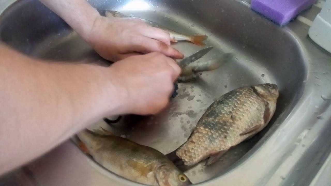 Как почистить судака от чешуи быстро в домашних условиях, как снять шкуру и филе с рыбы судак