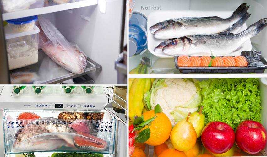 Срок хранения охлажденной рыбы: сколько можно хранить в морозилке, сколько хранится свежая в холодильнике, как хранить соленую | domovoda.club