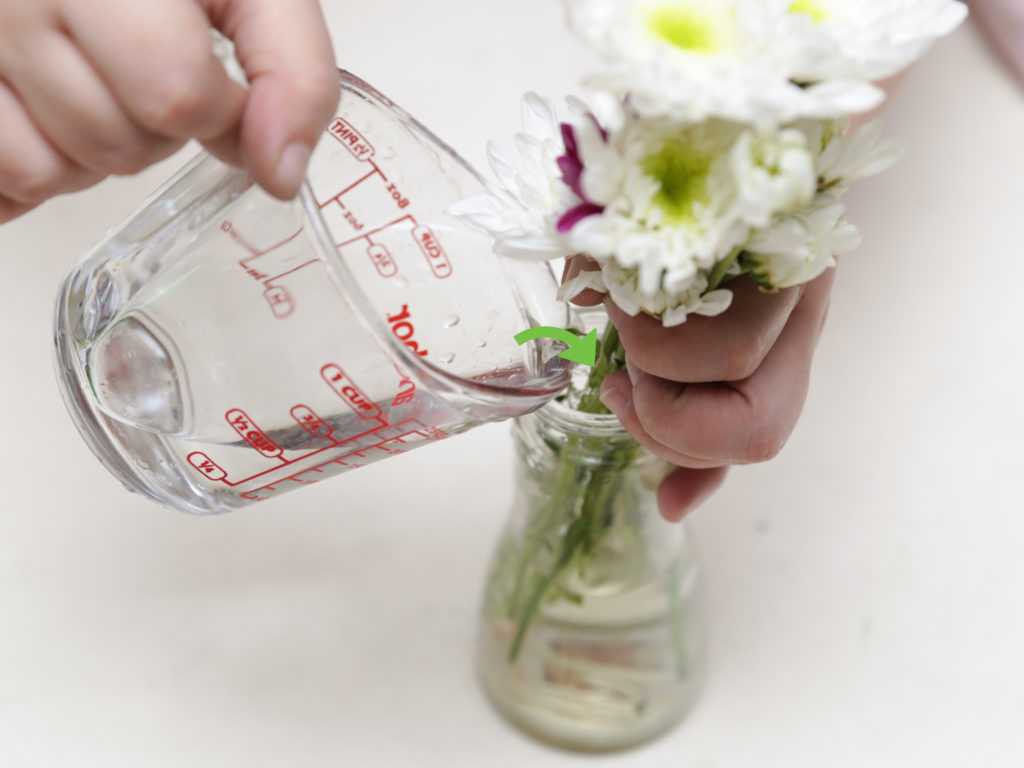 5 способов, как сохранить срезанные розы надолго: и ещё 14 советов от флористов