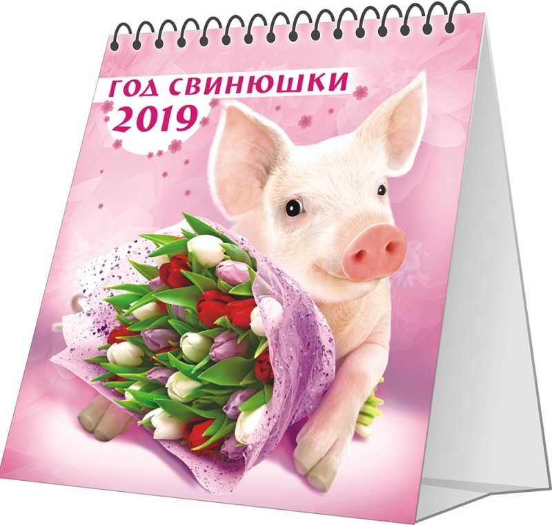 Новогодние поделки своими руками на 2019 год свиньи —самые интересные идеи