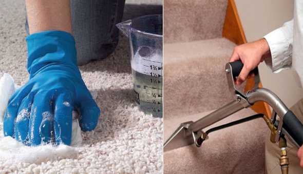 Чистка ковров в домашних условиях: специальные и народные средства; как почистить, не снимая с пола