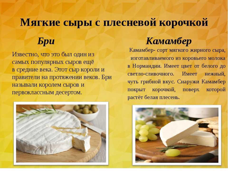 Копченый сыр косичка – калорийность и состав. польза и вред сыра косичка