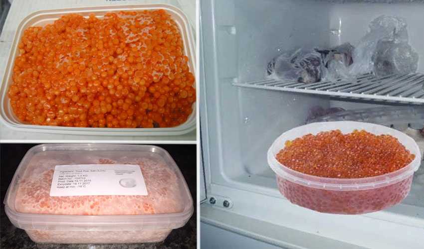 Хранение рыбы: сроки, в холодильнике, условия хранения замороженной, свежей, рыбы в морозилке: правила, режимы