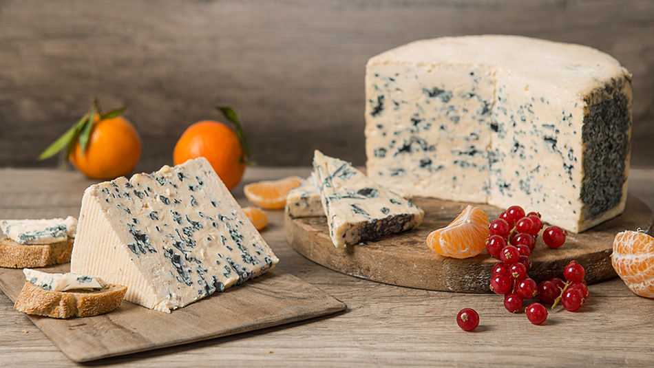 Сыр рикотта: особенности сыра, его вкус и аромат, состав и применение у кулинарии