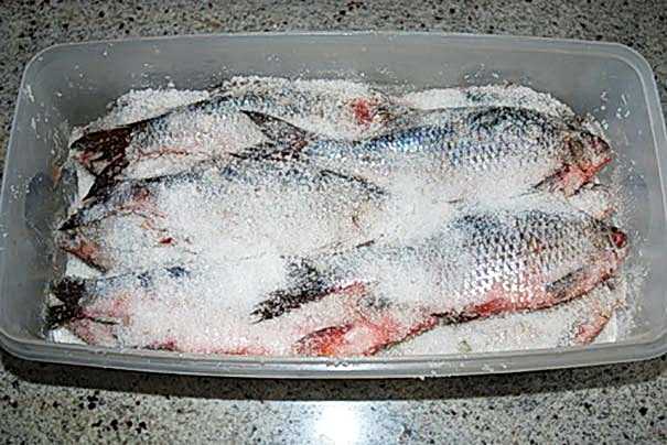 Сколько можно хранить охлажденную рыбу: срок хранения