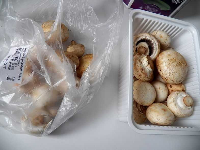 Сколько хранятся жареные грибы в холодильнике, как правильно обжаривать грибы, условия хранения