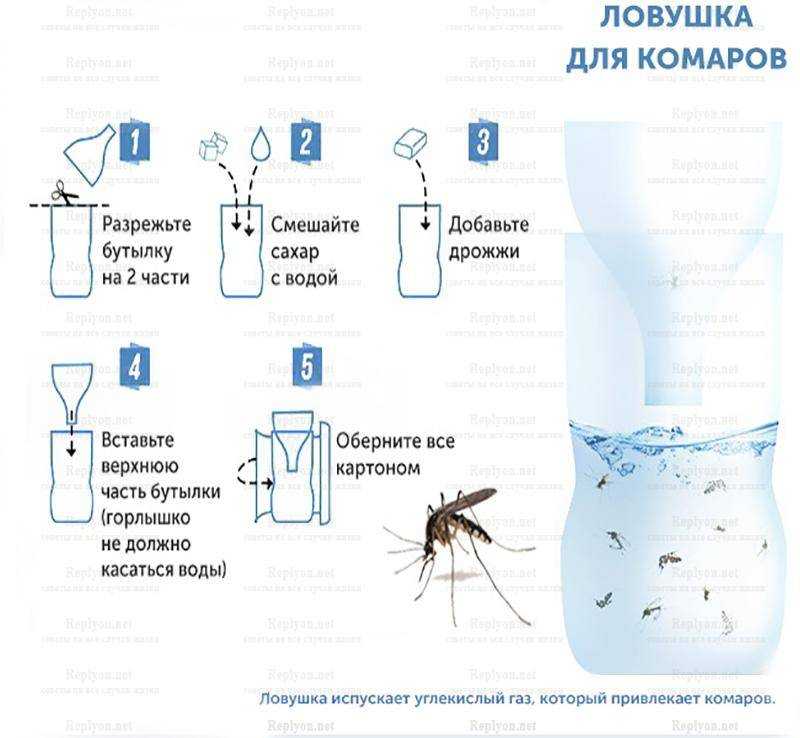 Как избавиться от комаров в доме? - xclean.info