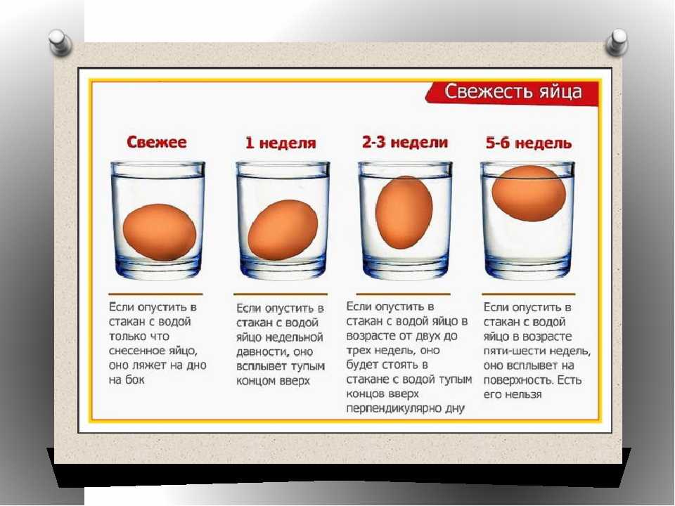 Как проверить сырые яйца на свежесть в воде?