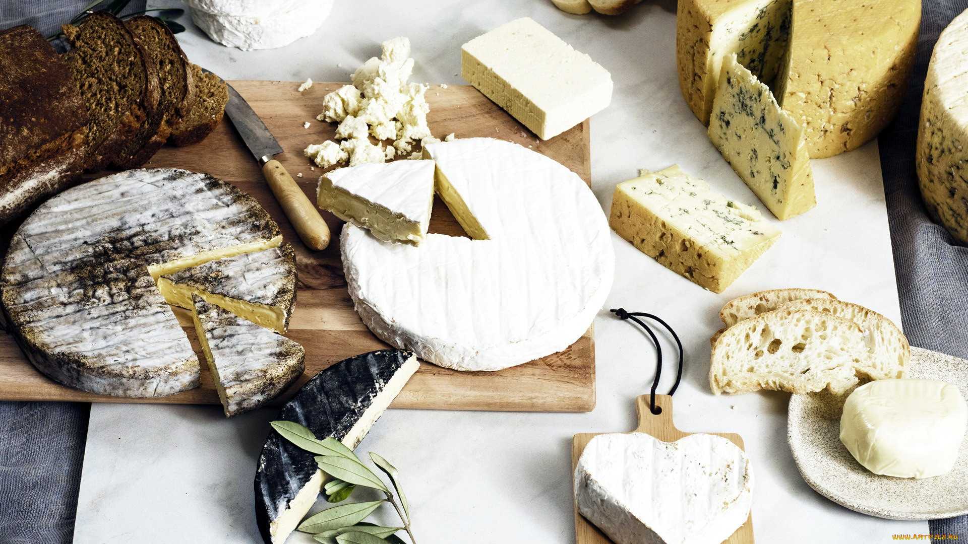 Какие виды сыра существуют, и зачем они нужны