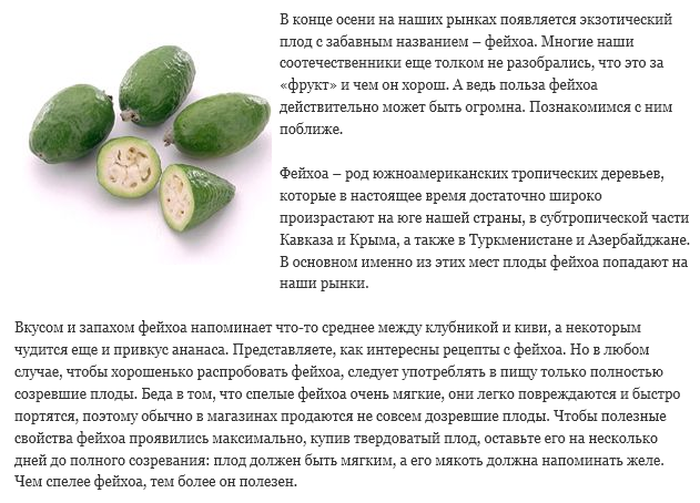 Фейхоа: полезные свойства и противопоказания | официальный сайт – “славянская клиника похудения и правильного питания”