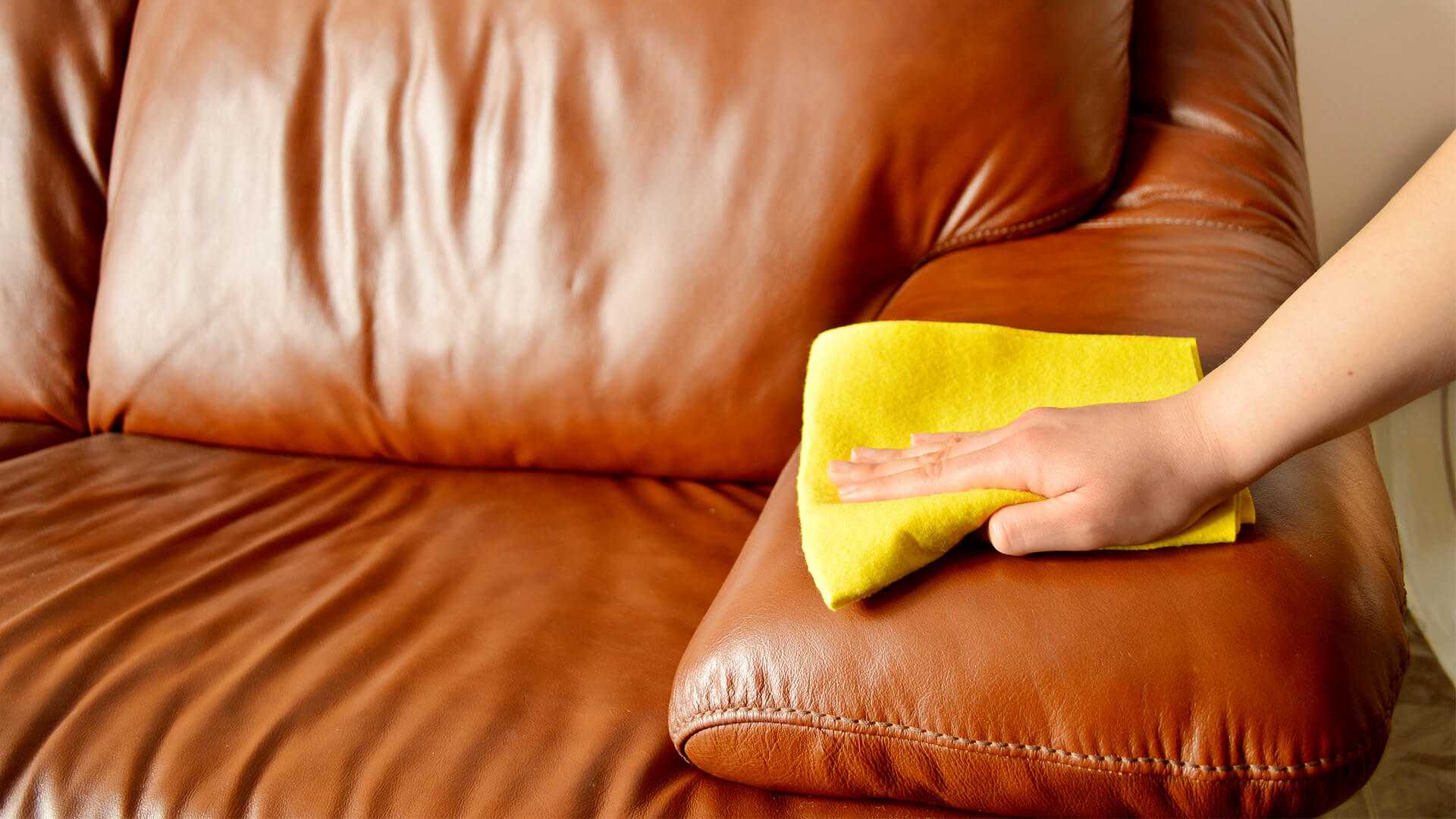 вывести мочу с дивана в домашних условиях