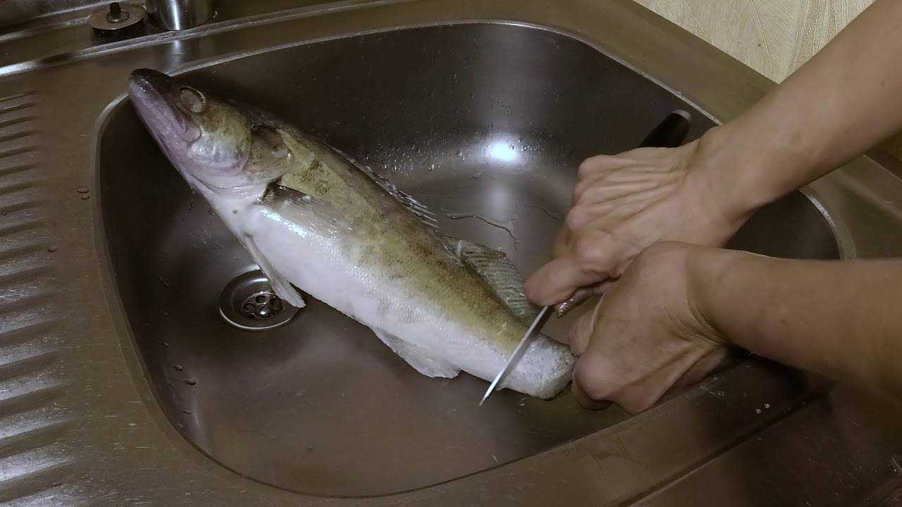 Как почистить судака от чешуи быстро в домашних условиях, как снять шкуру и филе с рыбы судак