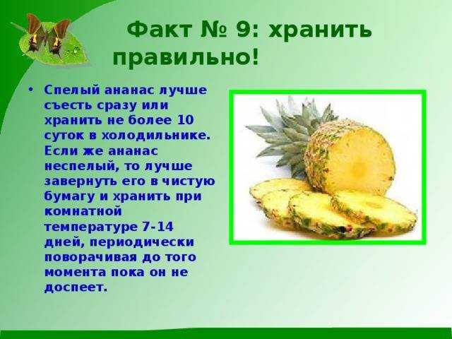 Как нужно хранить свежие ананасы до нового года, чтобы не портились