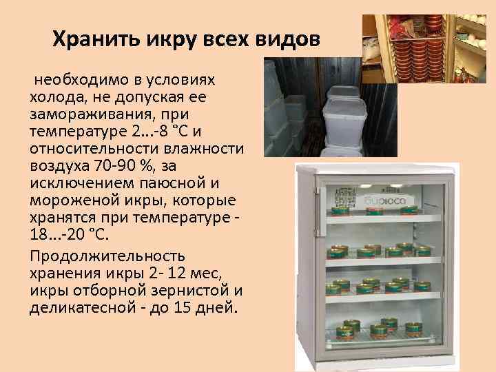 Можно ли замораживать красную икру: различные способы хранения в домашних условиях и срок годности деликатеса