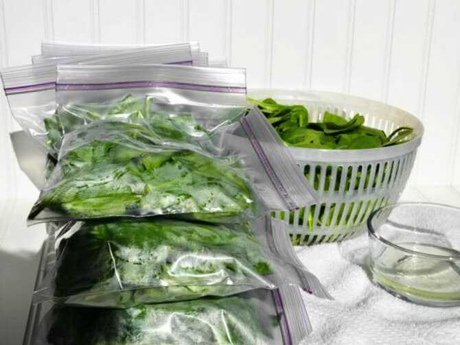 Как хранить салат листовой в холодильнике и морозилке на зиму