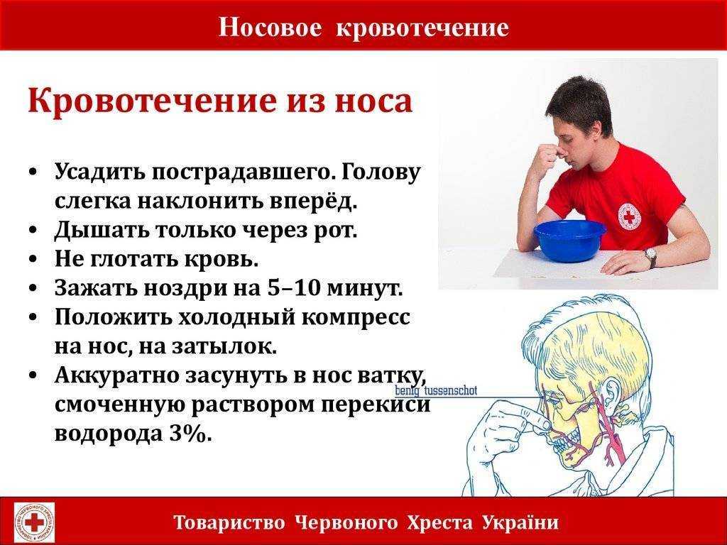 Понятия густой крови и жидкой крови