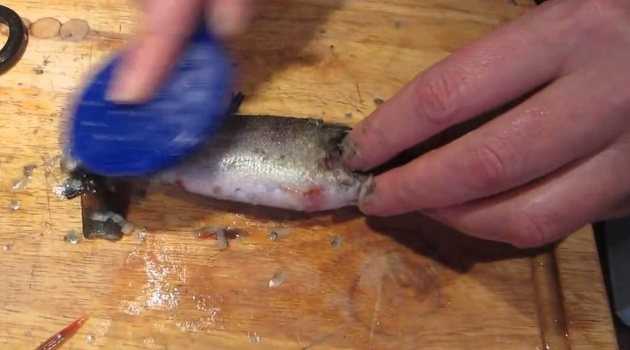 Муж рыбак научил, как быстро почистить судака от чешуи