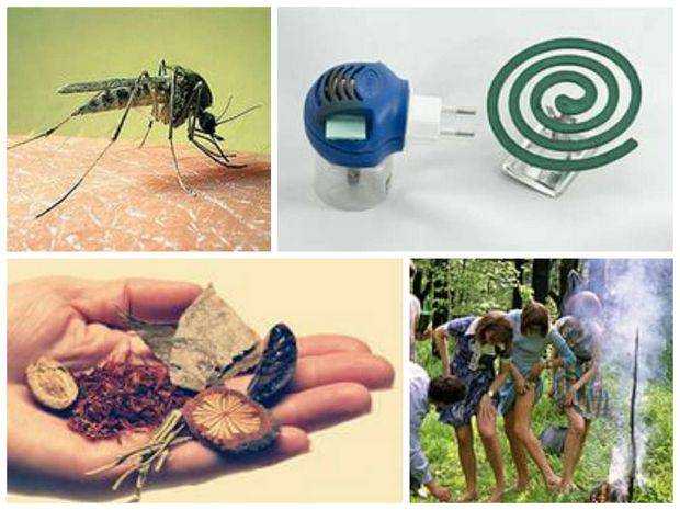 Что делать, если дома много комаров?