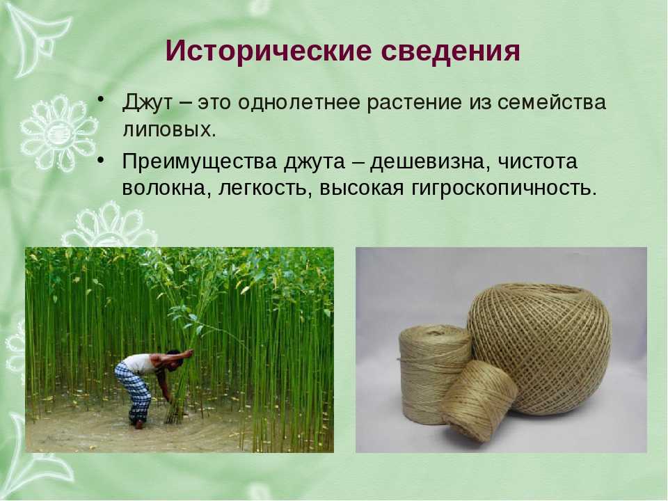 Экологичные ткани: 5 самых классных материалов будущего | vogue russia
