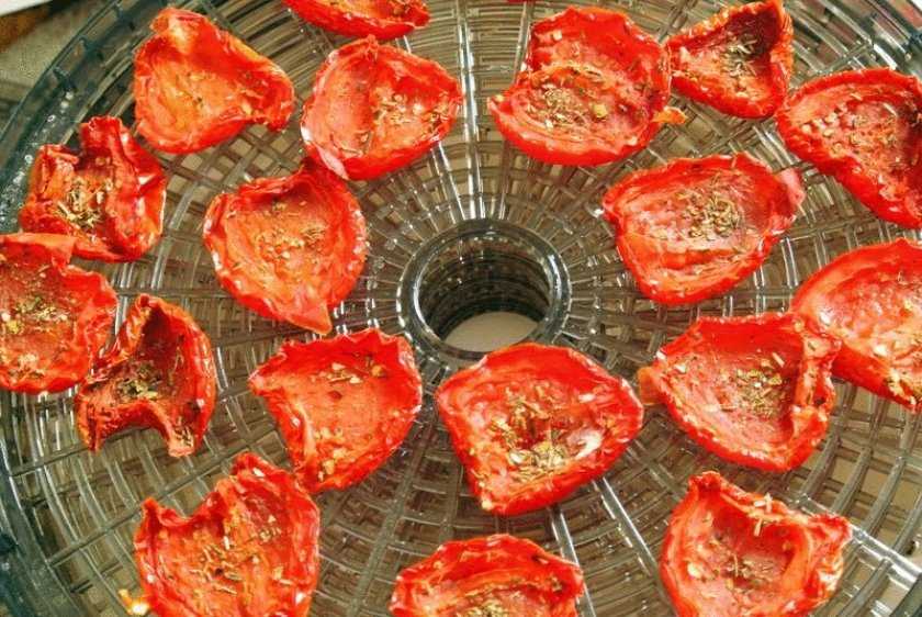 Вяленые помидоры в домашних условиях - как завялить в духовке или на солнце и заготовить на зиму в масле