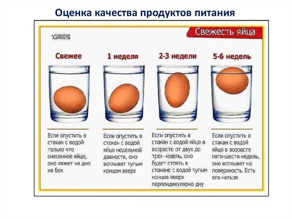 Как проверить сырые яйца в воде на свежесть в домашних условиях