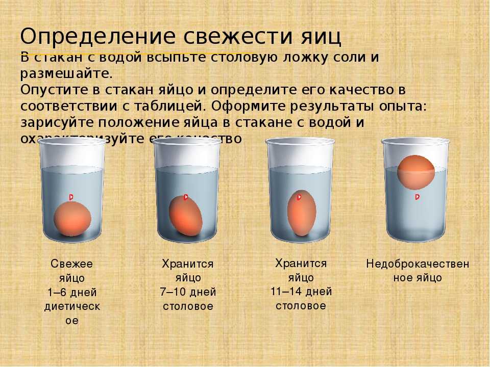 Как проверить свежесть яиц в стакане с водой: что означает, если всплывают?