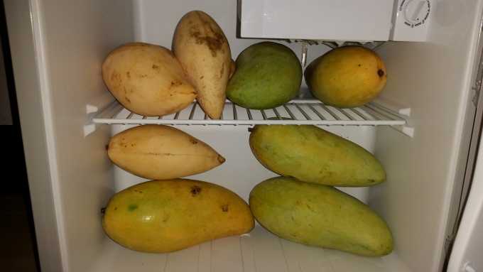 Способы хранения манго в домашних условиях