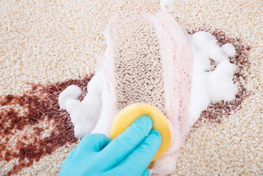 Ваниш для ручной чистки ковров: как пользоваться, отзывы