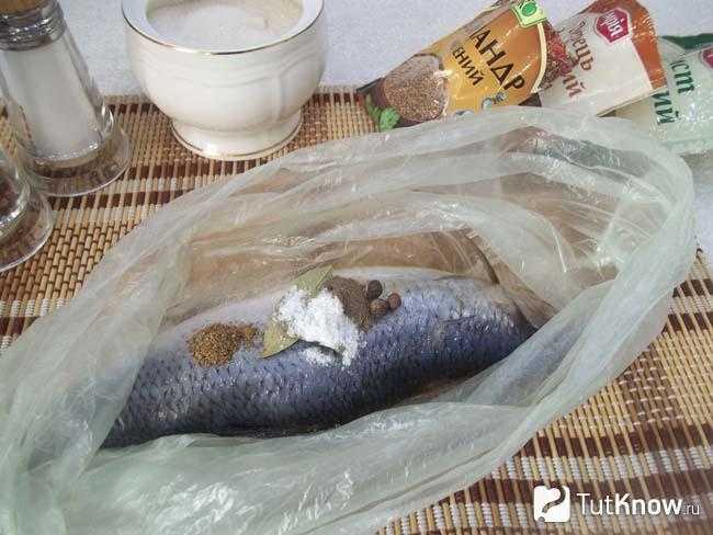 Как хранить соленую селедку в домашних условиях — лучшие способы