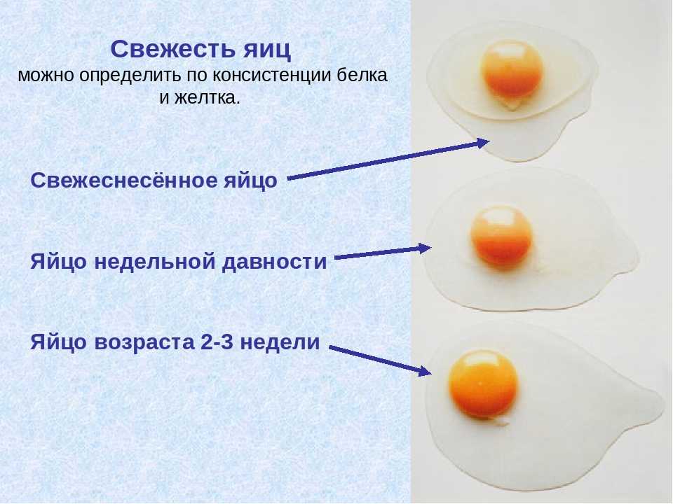 Как проверить свежесть яиц в домашних условиях?
