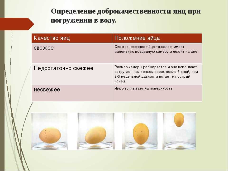 Как проверить вареные яйца или сырые – 5 актуальных способов