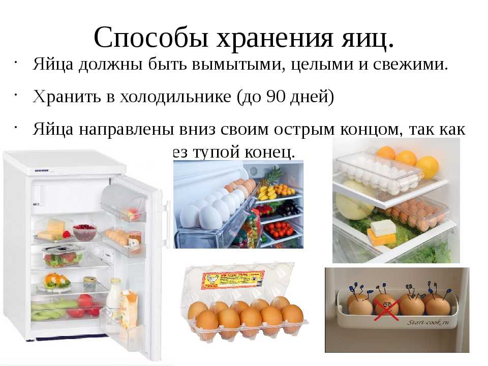 Сроки хранения сырых и вареных яиц в холодильнике