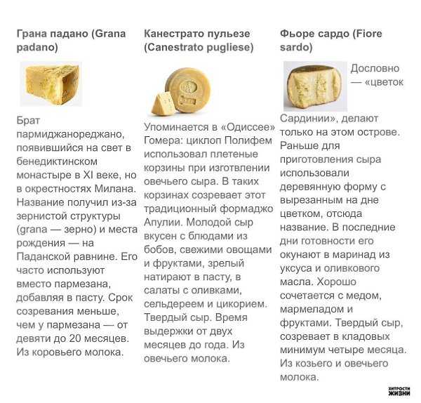 Сыр чанах: что это и как правильно употреблять армянскую брынзу