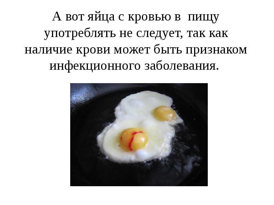 Почему бывает кровь в сырых куриных яйцах: причины, что делать? можно ли есть яйца с кровью?