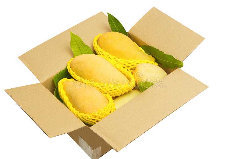 Как правильно хранить манго в домашних условиях