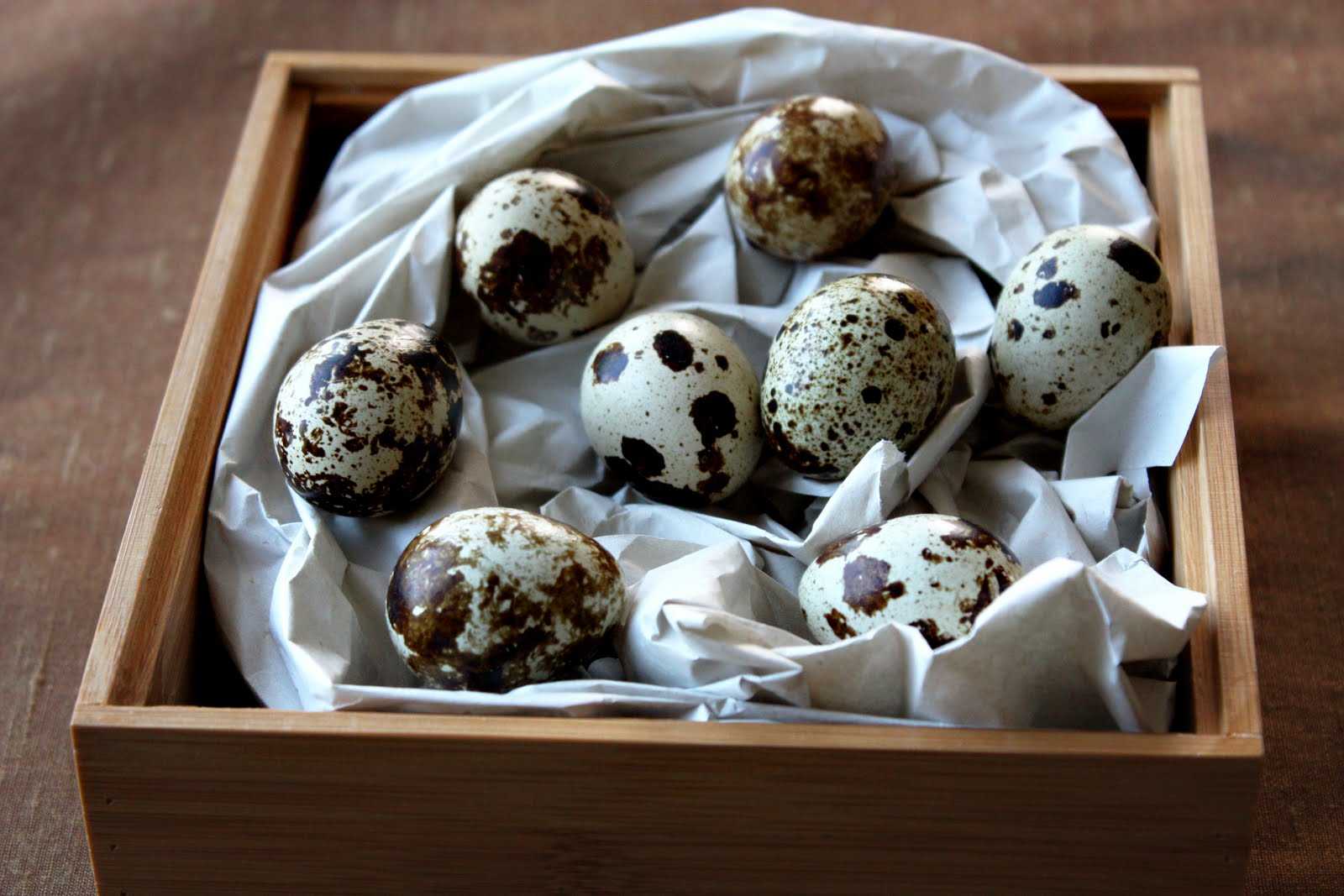 Как и сколько хранить перепелиные яйца свежие и вареные