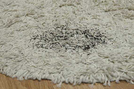 Как почистить коврик для мыши?
