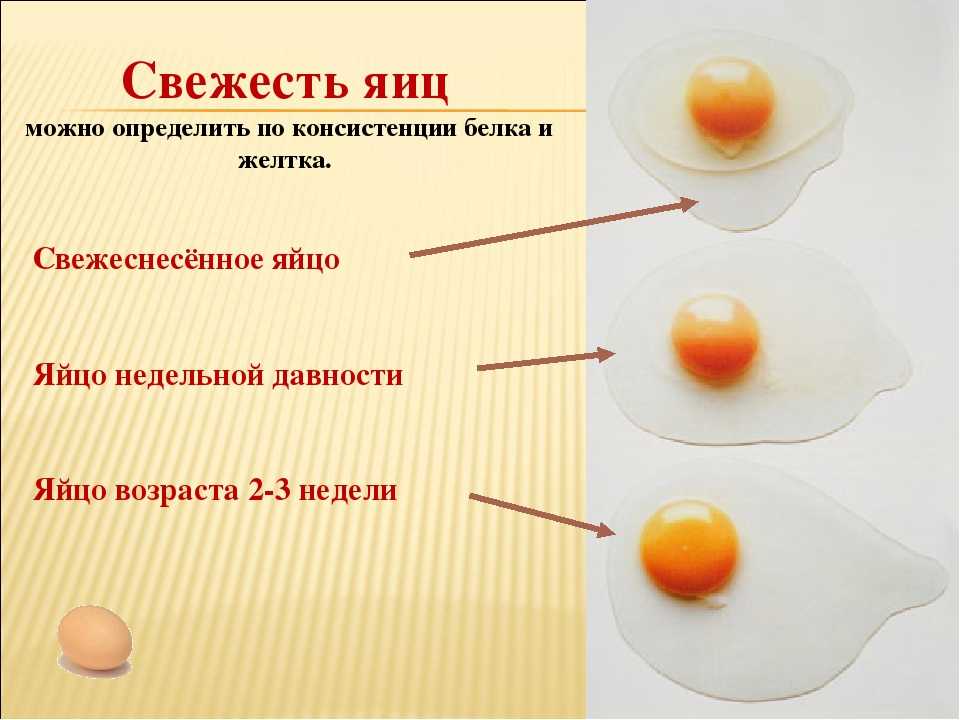 Как проверить яйца на свежесть в домашних условиях? как понять, что яйцо испортилось?