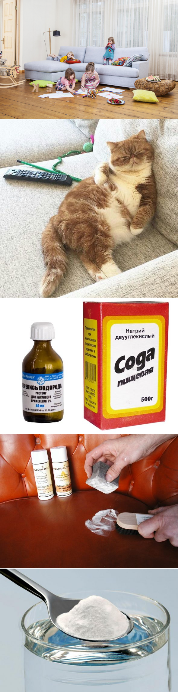 Как избавиться от кошачьего запаха в квартире – 15 лучших рецептов от запаха кошачьей мочи