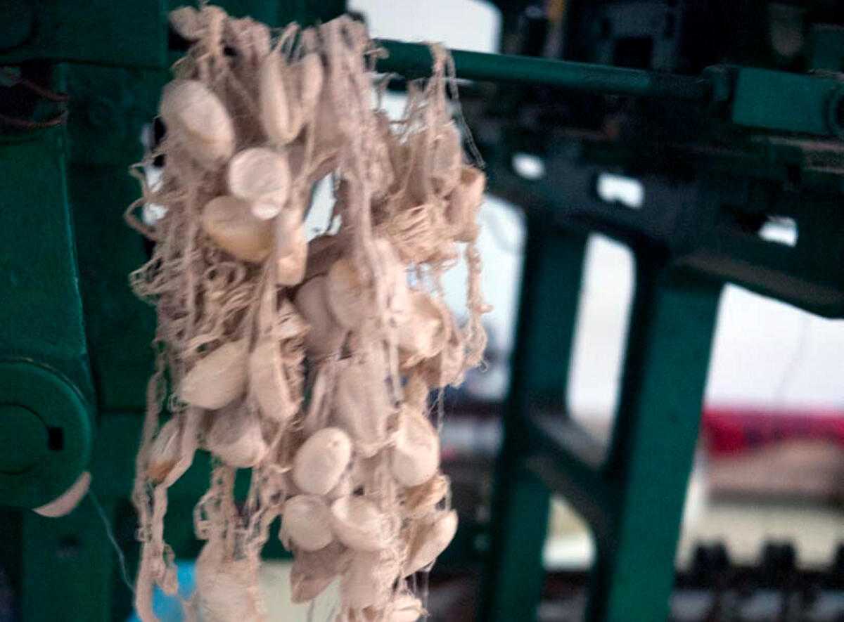 Mulberry silk малберри шелк производится путем разматывания коконов шелкопряда, а не счесывания волокон, как в случае с шелком тусса Поэтому полотно изготовленное из таких нитей получается идеально гладким