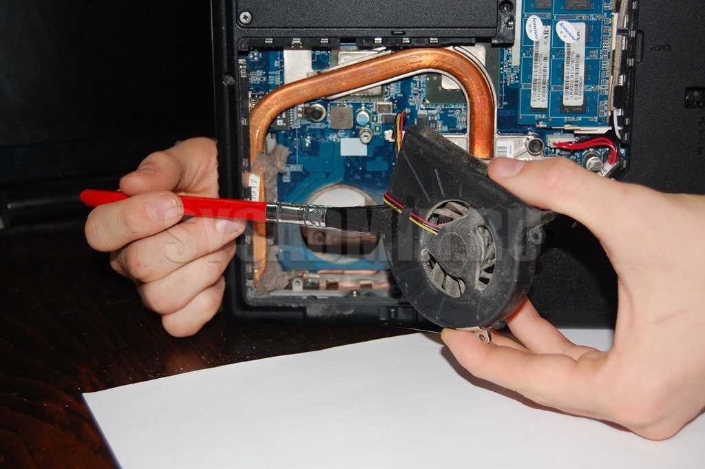 Обслуживание и чистка систем охлаждения ноутбуков и компьютеров. как заменить термопасту